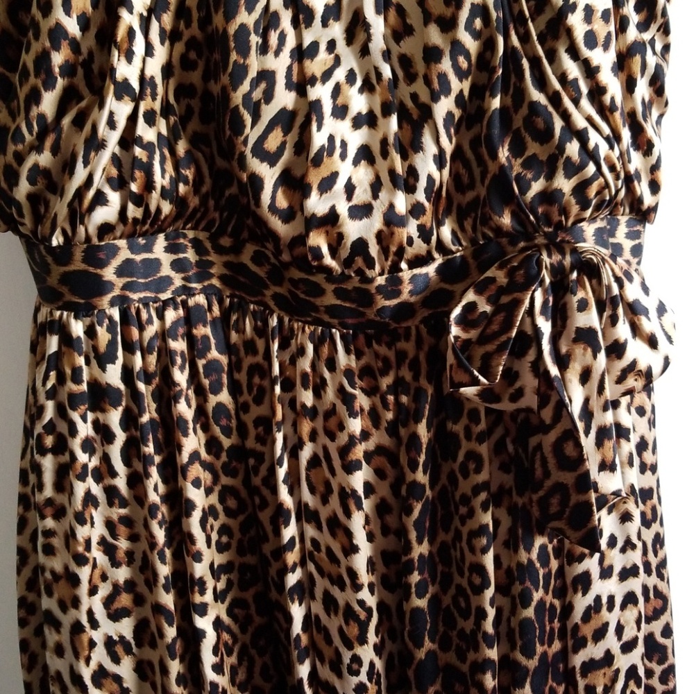 Laundry dress - Picture 2 of 6